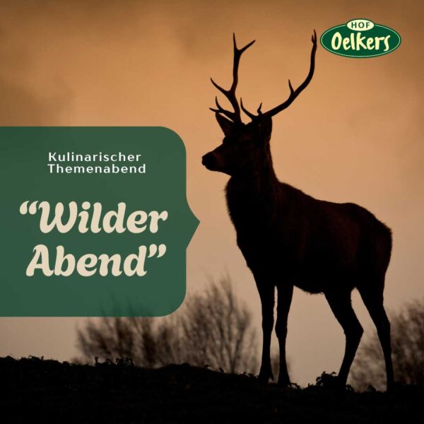 Ticket "Wilder Abend"