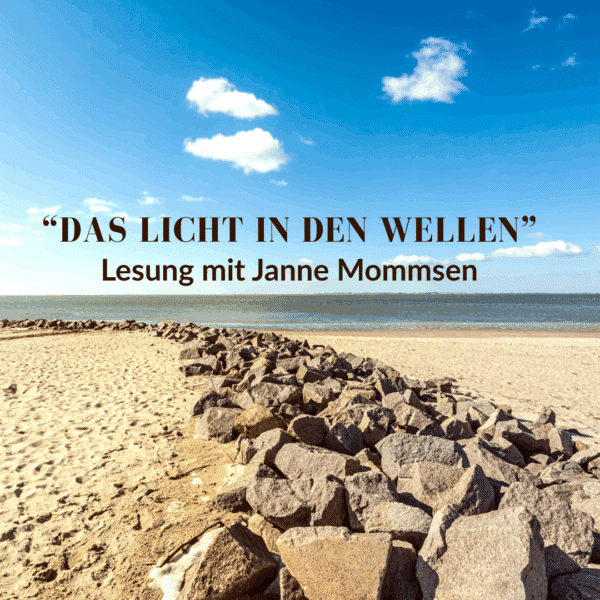 Ticket - Lesung Janne Mommsen 13.03.26